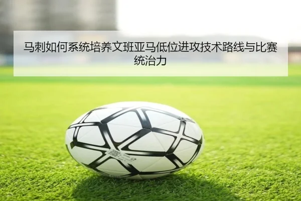 img_1780169353758_1064_1_274.jpg